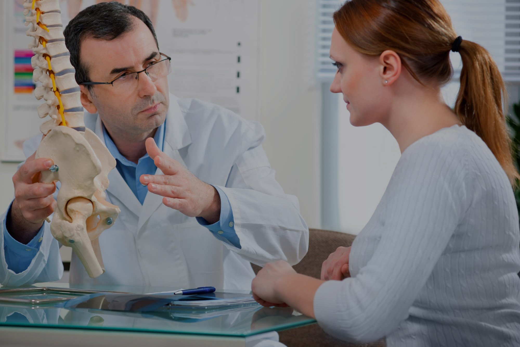 A doctor shows a patient a model of the human spine.